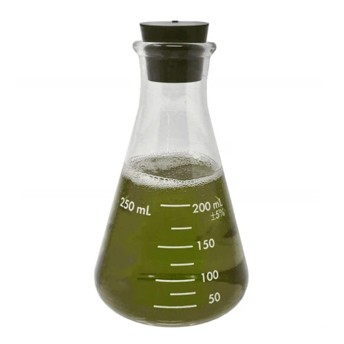 Conical flask | Shaanxi achieve chem Conical flask | Shaanxi achieve chem