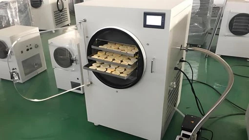 Tabletop Freeze Dryer | Shaanxi Achieve chem-tech Tabletop Freeze Dryer | Shaanxi Achieve chem-tech